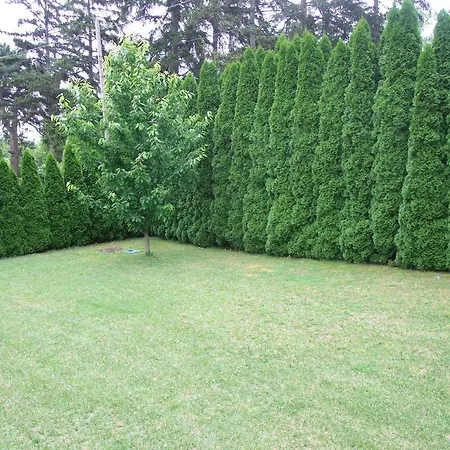 Levente Balatongyörök